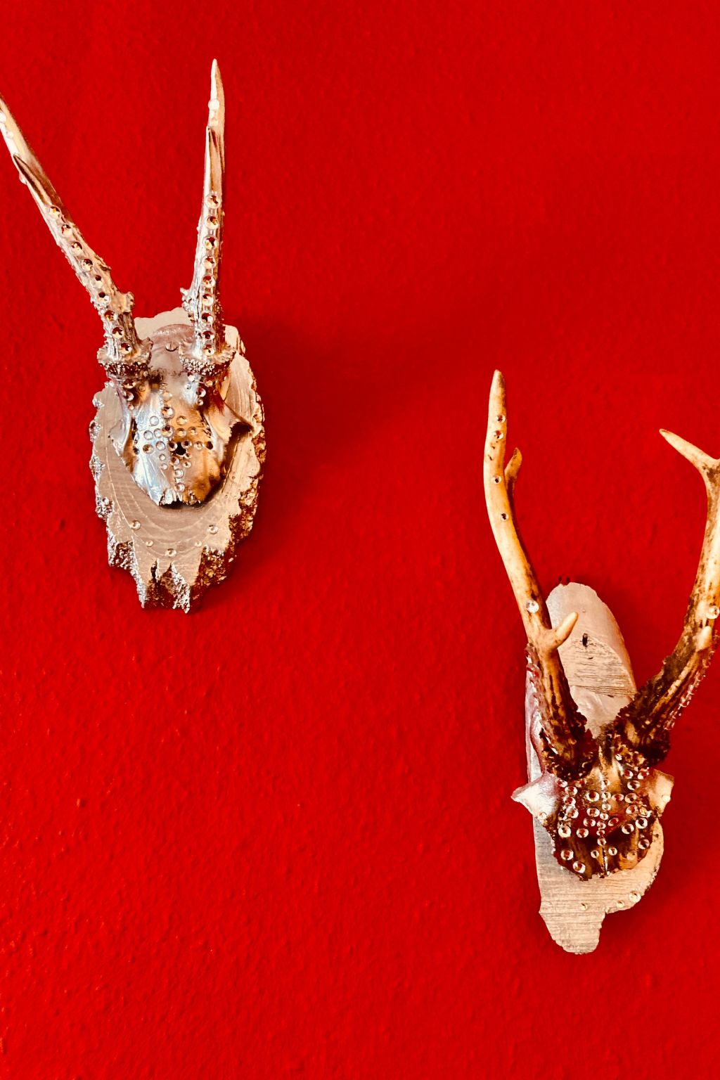 Apartment Daniel-Dedans