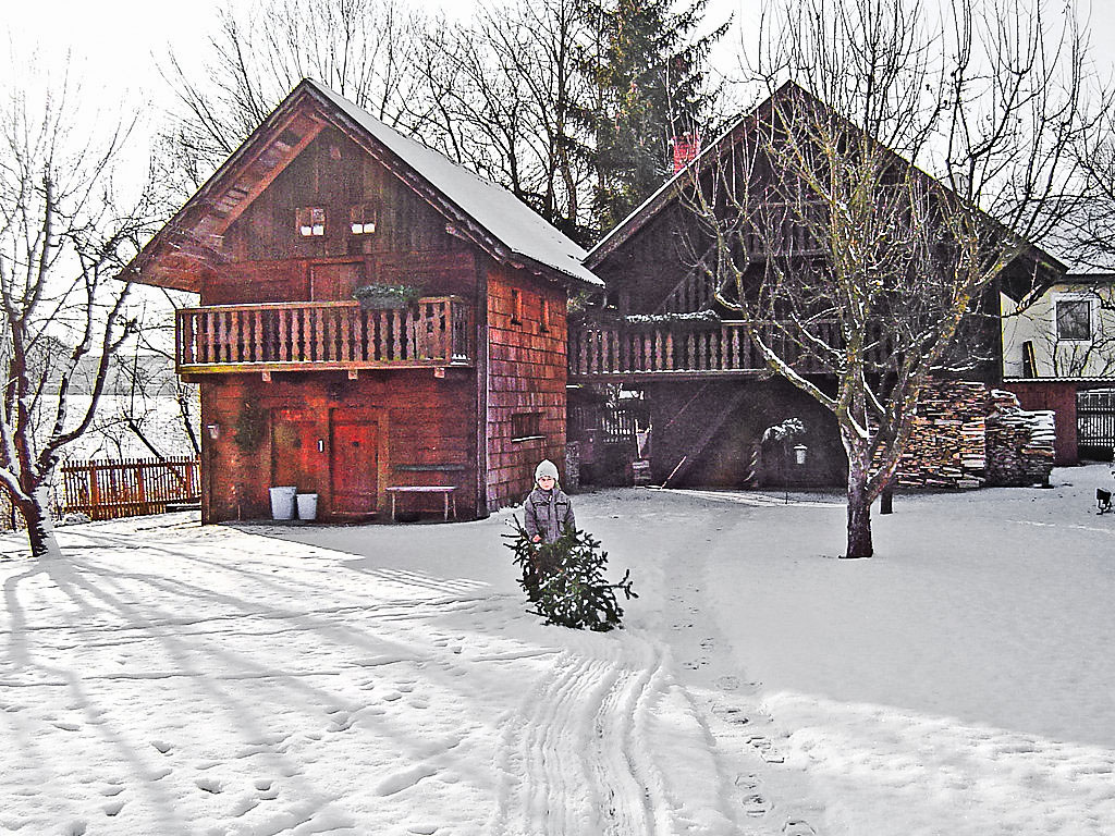 Ferienhaus Troadkasten