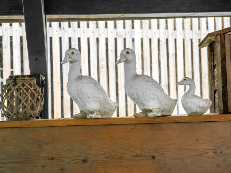 Holiday Rental Accommodation