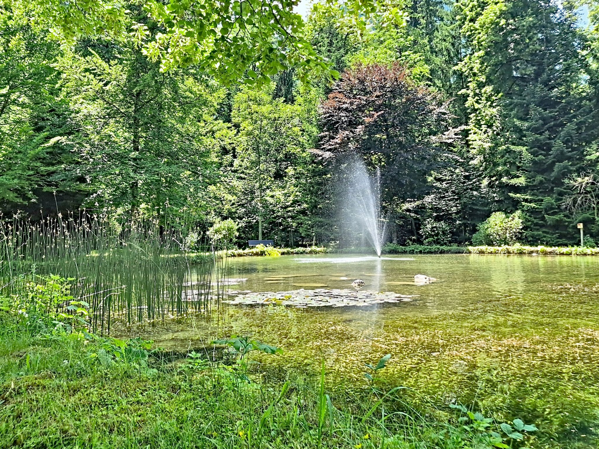 Im Schlosspark mit Hallenbad - Buiten