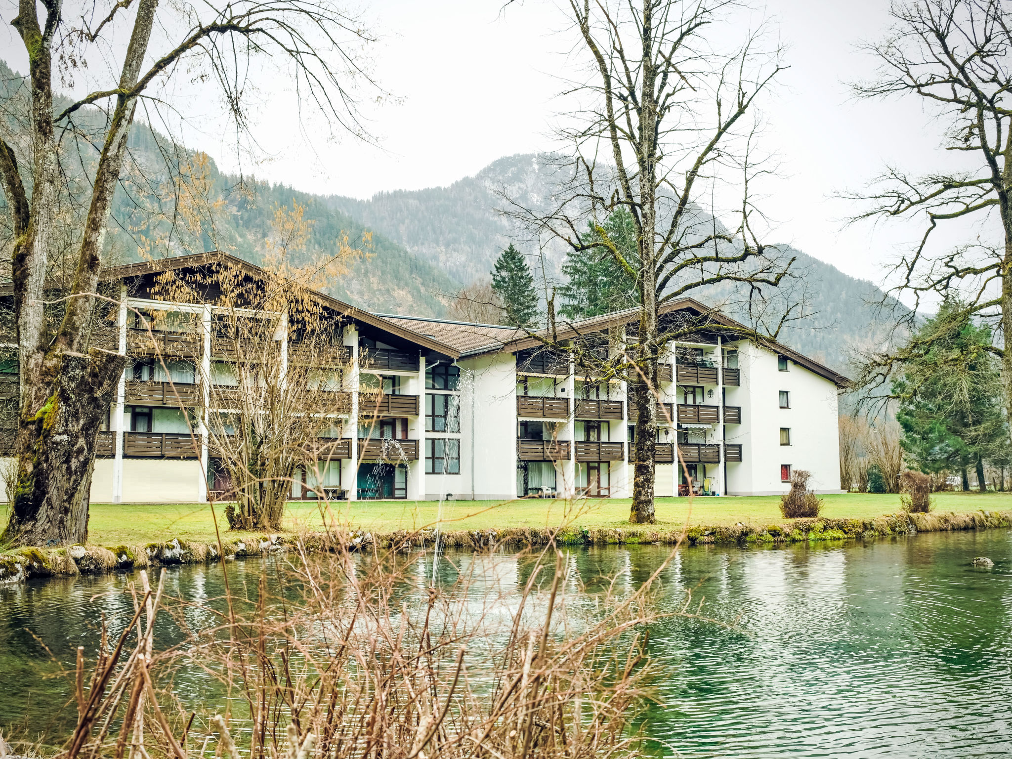 "Zum Goldenen Baum", 1-room apartment 40 m2. Modern and tasteful furnishings: living/sleeping room with 1 sofabed, 1 double bed, dining table and TV. Kitchenette (oven, dishwasher, 4 ceramic glass hob..