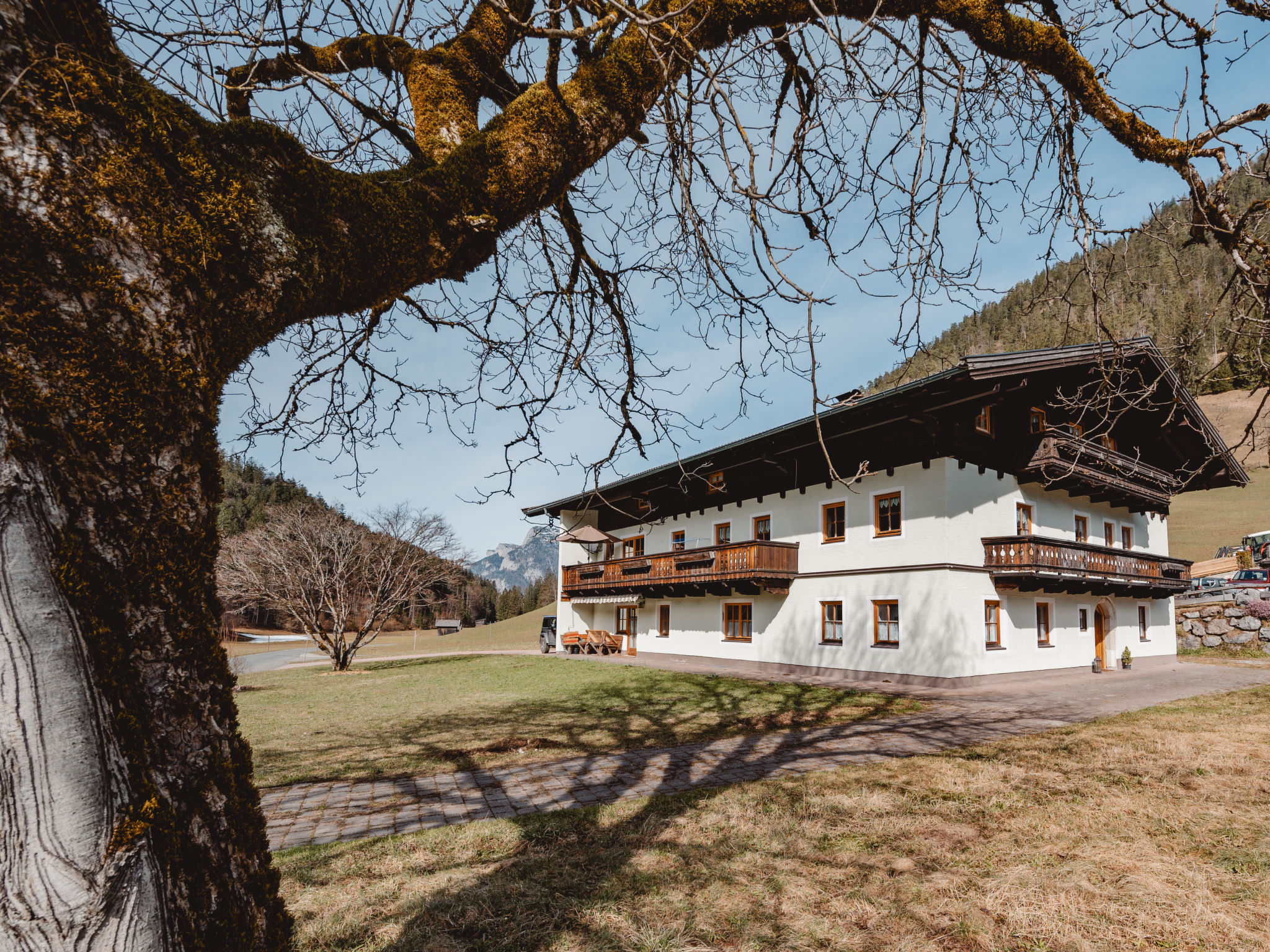 Ferienhaus in Lofer (Österreich) und 1 Hund erlaubt