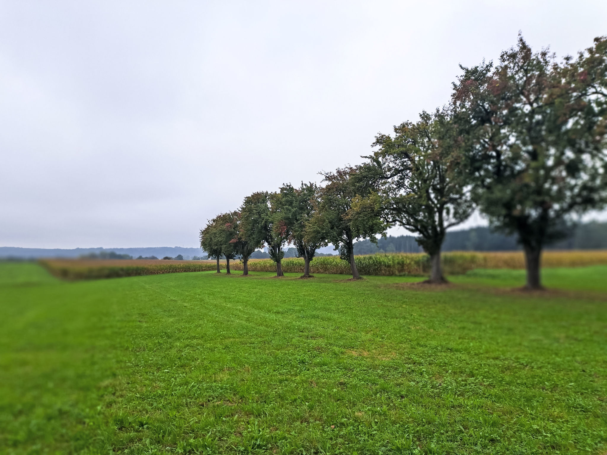 Lindnerhof-Buiten