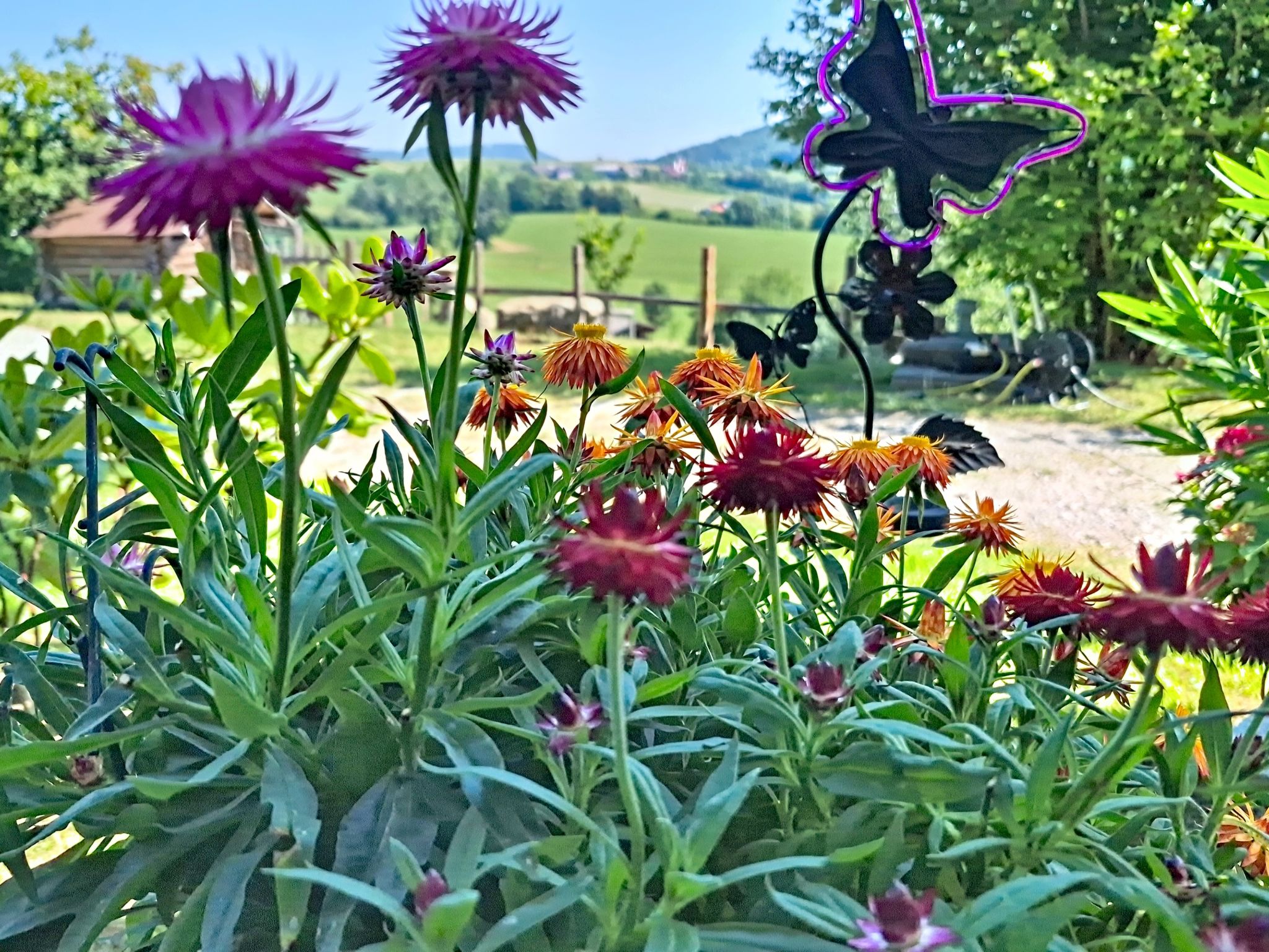 Roiderhof - Binnen