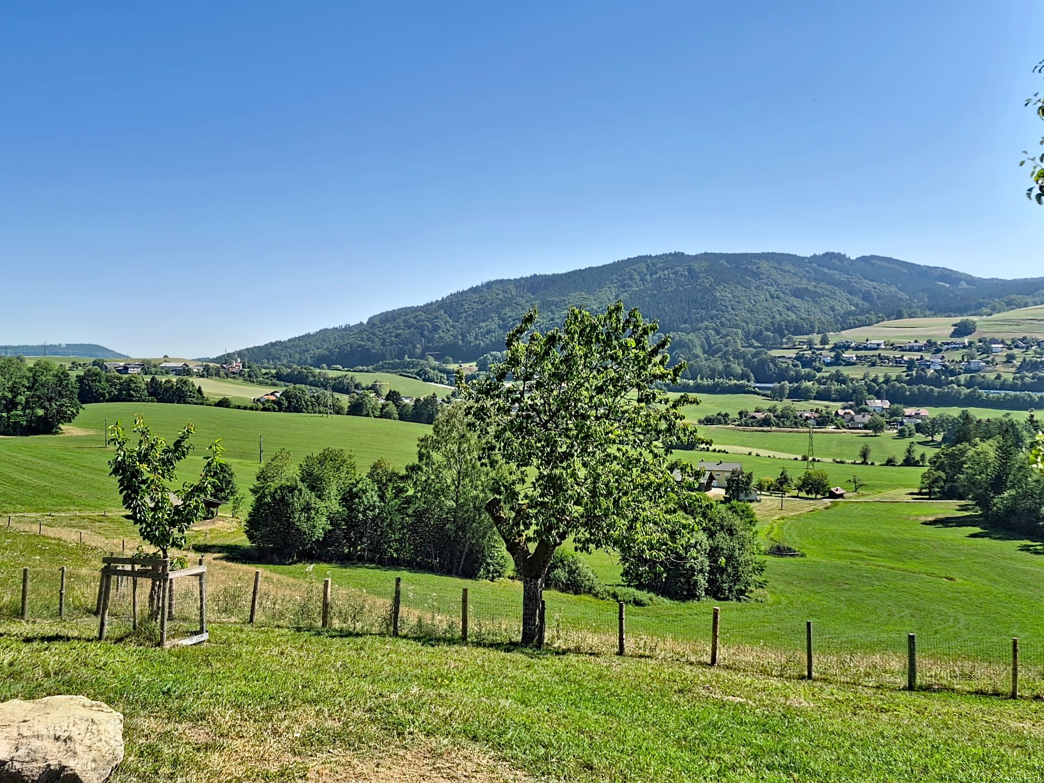 Roiderhof - Buiten