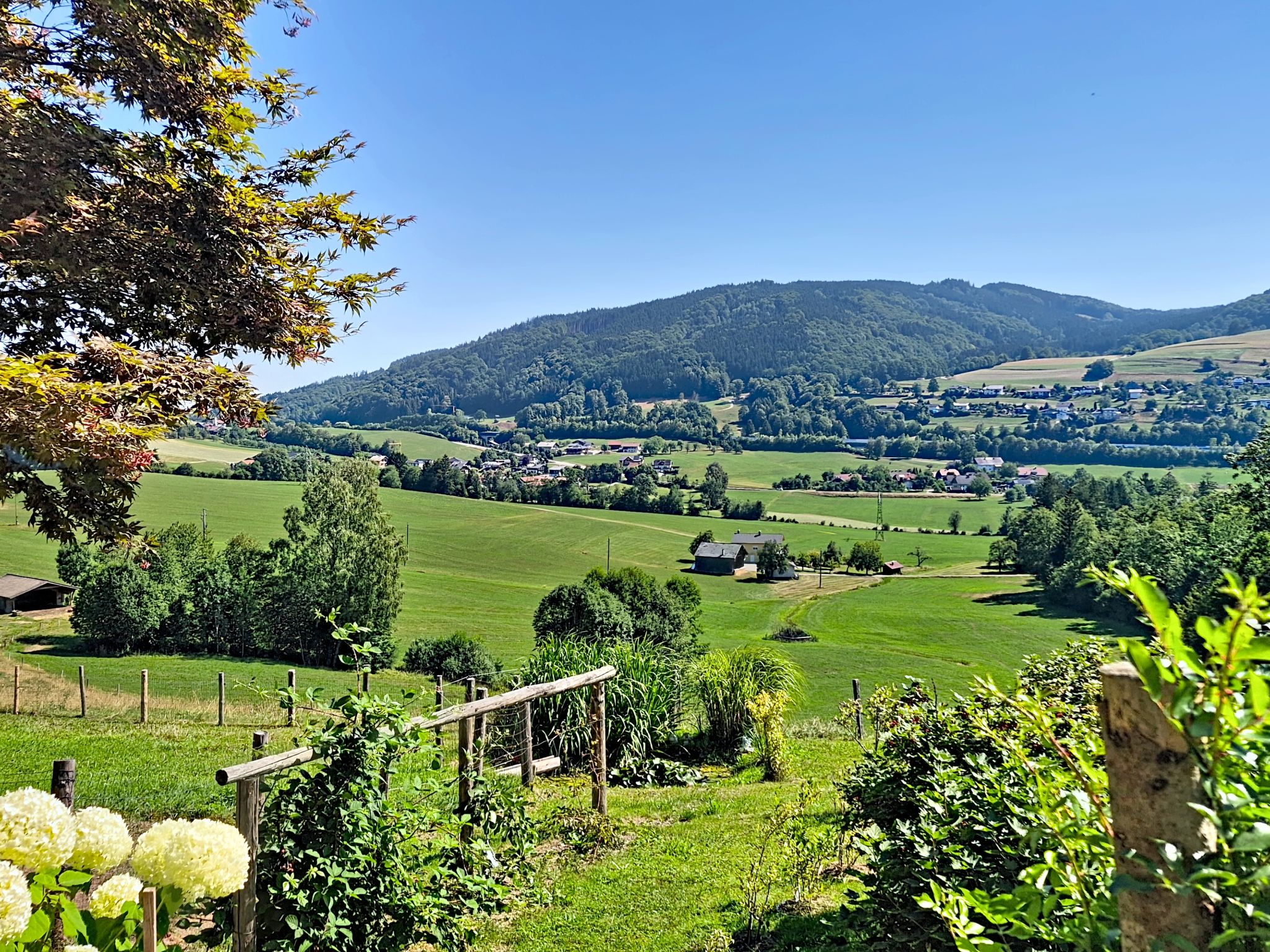 Roiderhof - Buiten