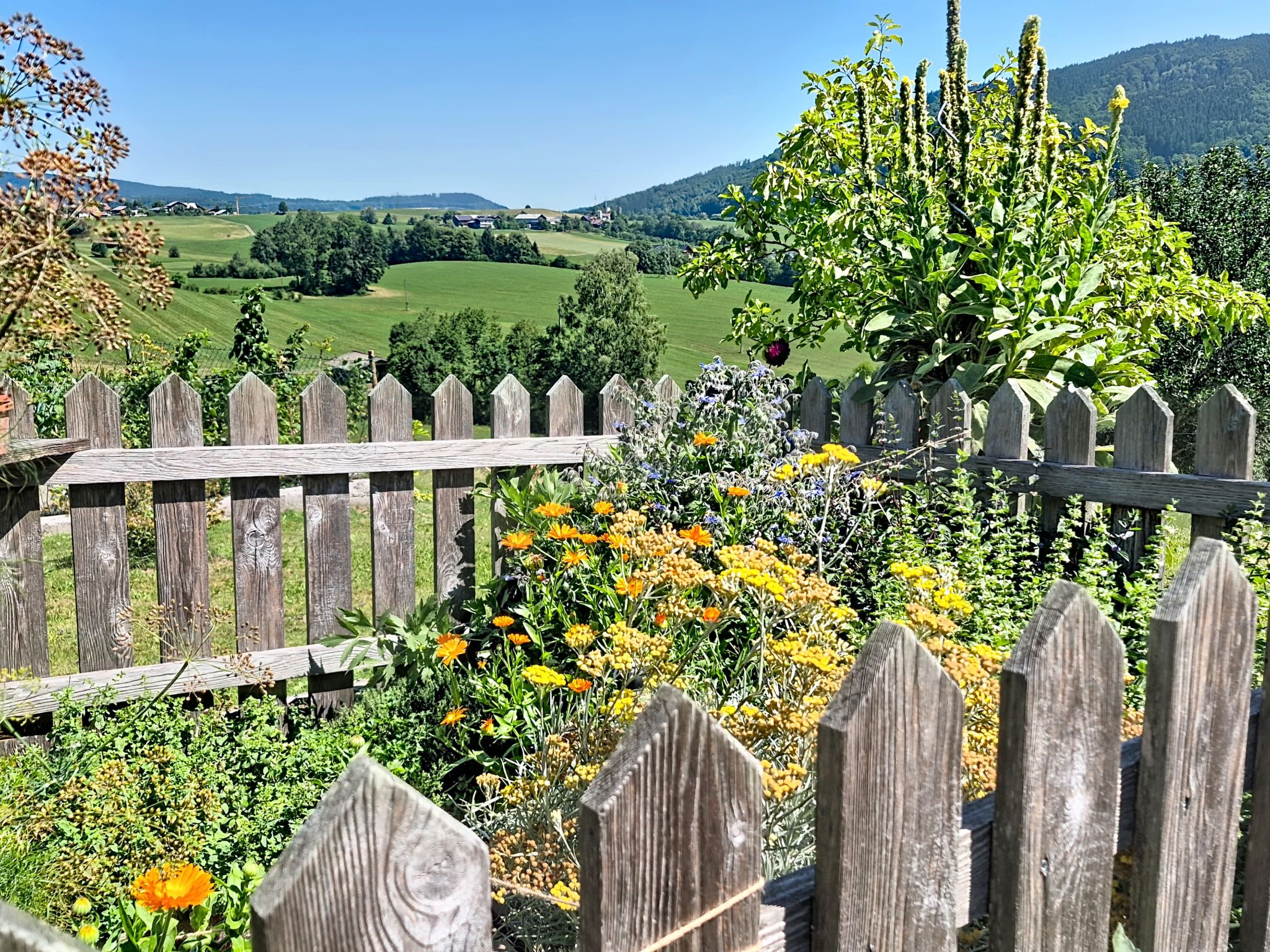 Roiderhof - Buiten