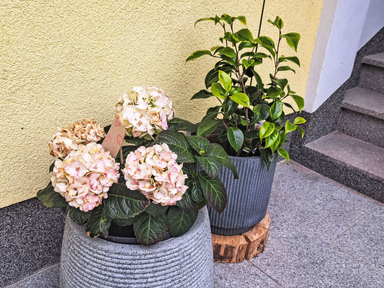 Holiday Rental Accommodation