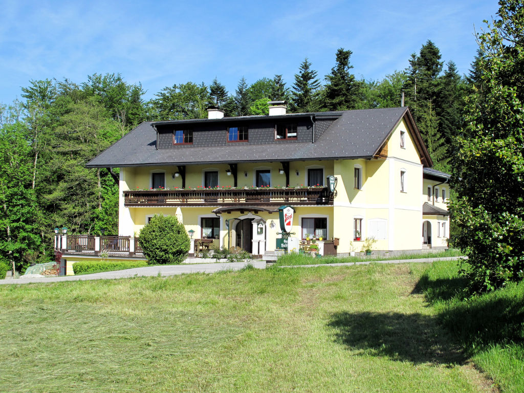 Waldfrieden Salzburgerland