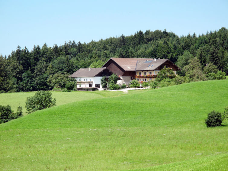 Vakantiewoning Bauernhof Vorderroid (MON400)
