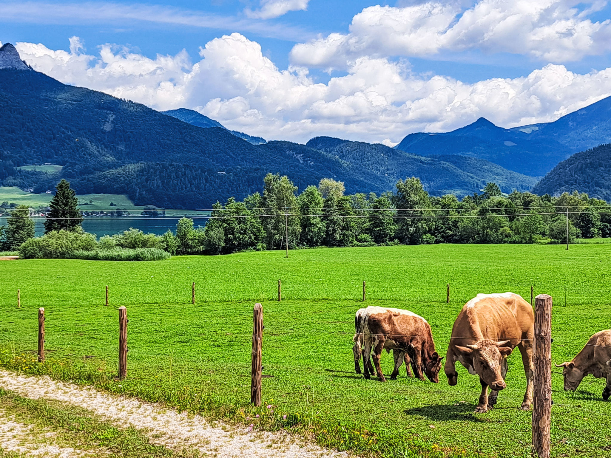 Wohnung 413 Bergblick-Draußen