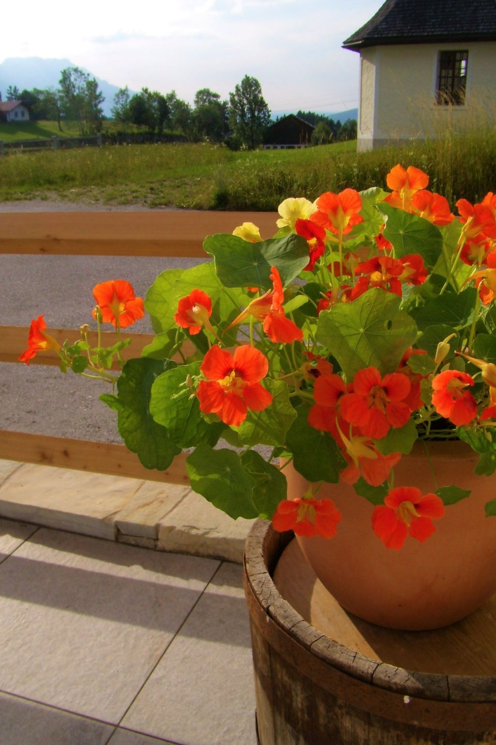 In Sankt Koloman mit Großer Terrasse-Image-tags.info