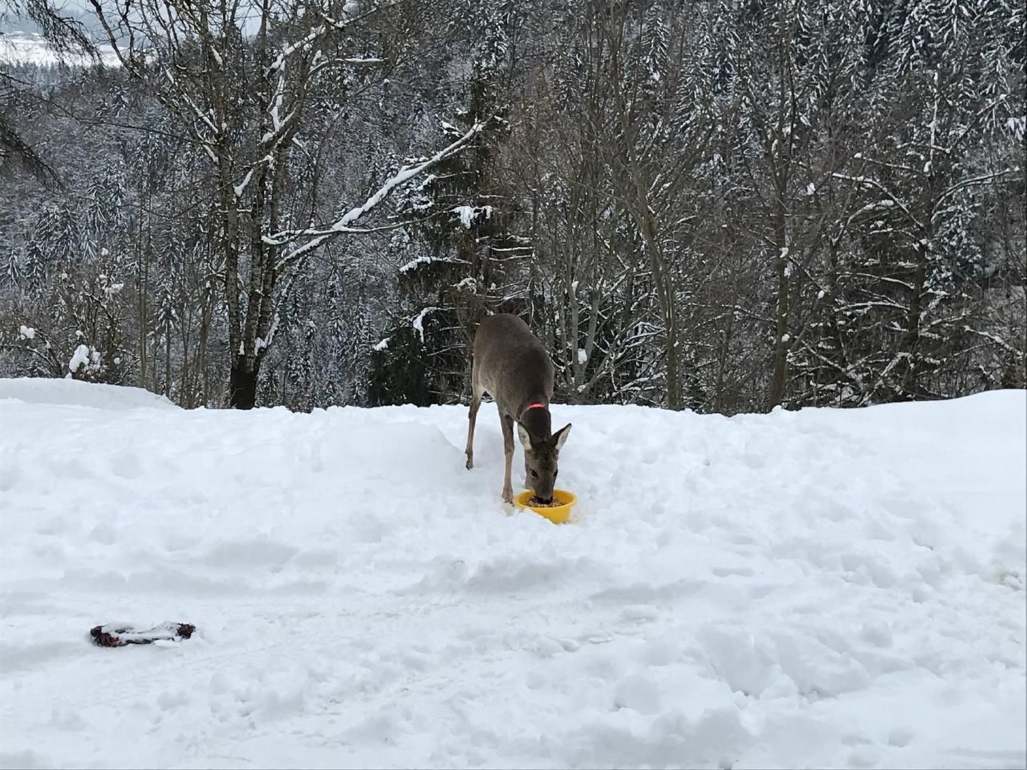 Mit Blick auf die Berge-Image-tags.info