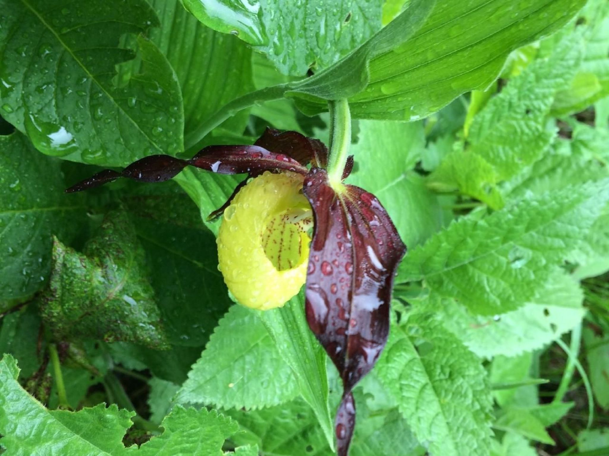 Mit Blick auf die Berge-Image-tags.info