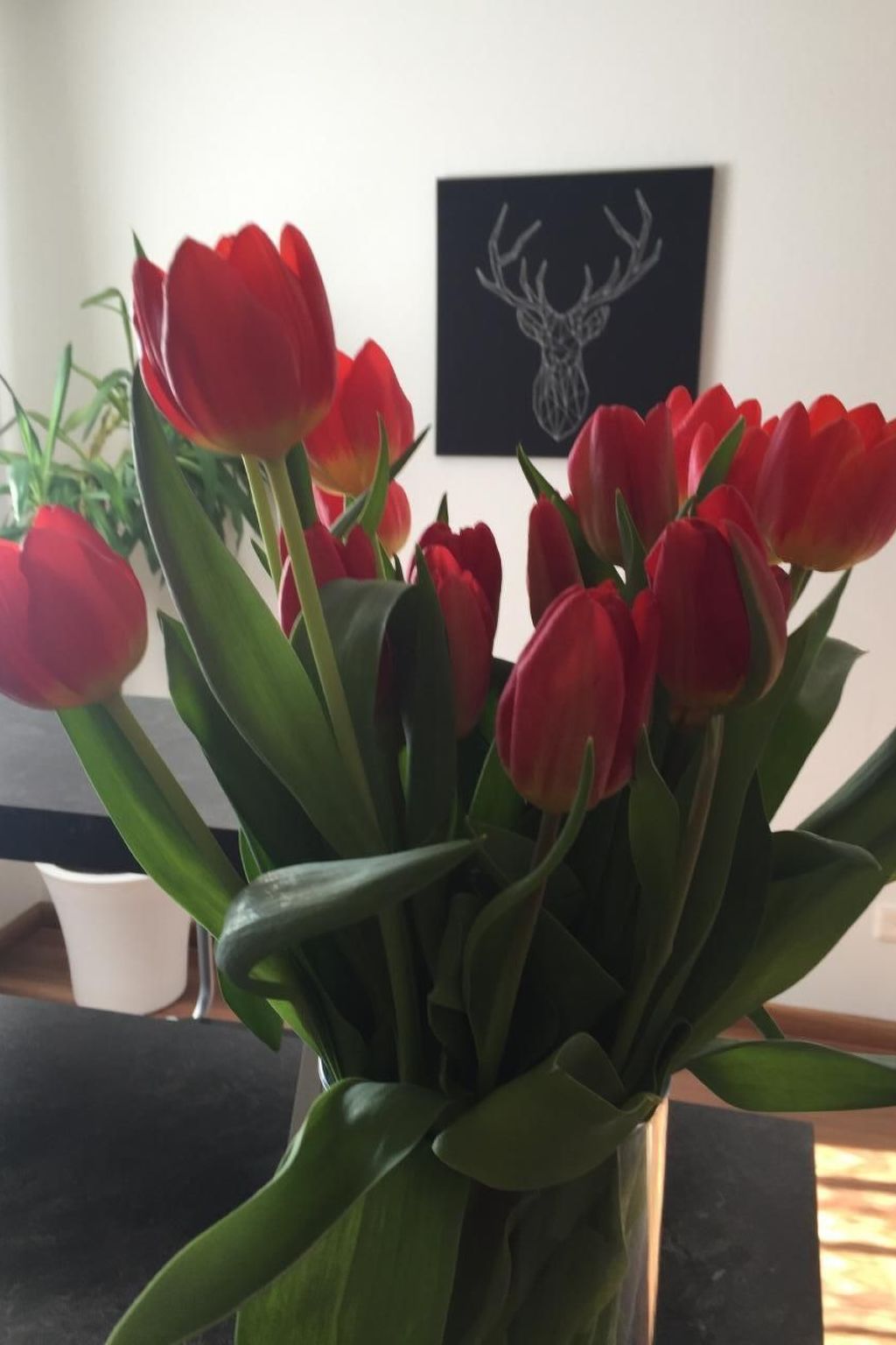 Mit Blick auf die Berge-Image-tags.info