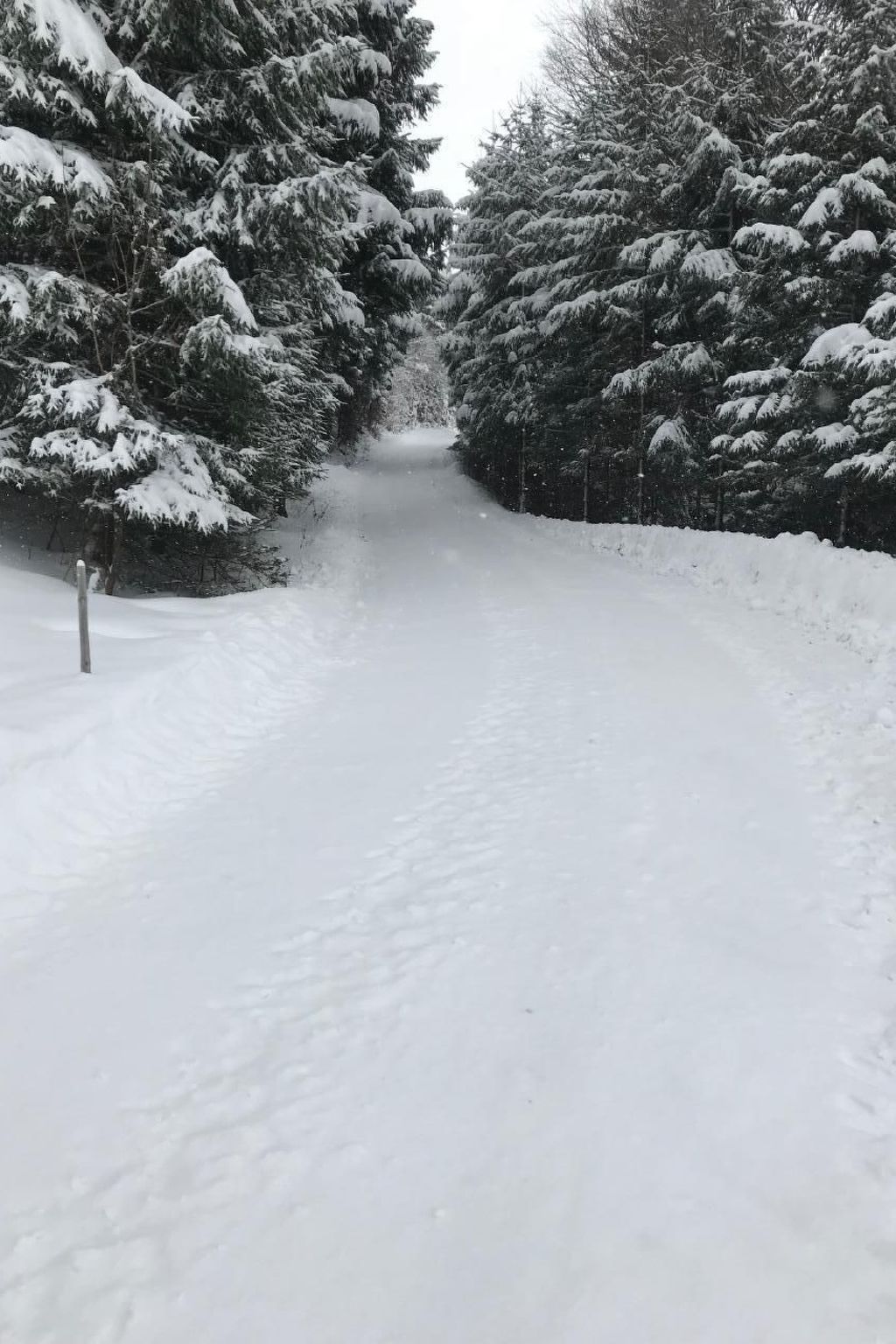 Mit Blick auf die Berge-Image-tags.info