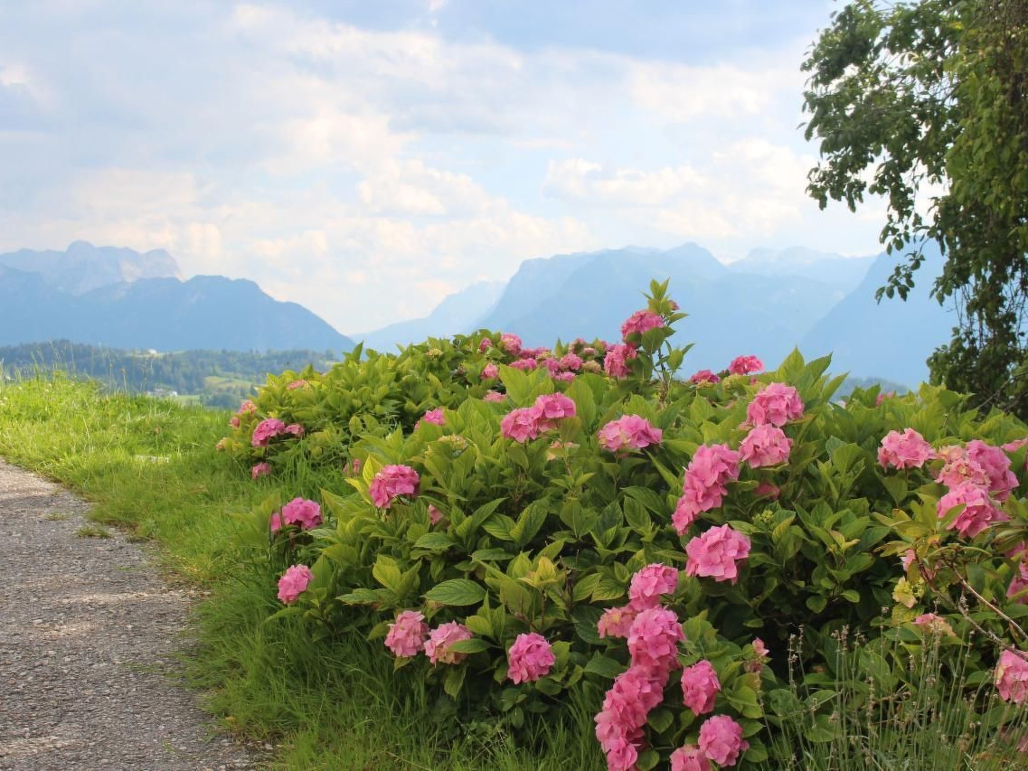 Mit Blick auf die Berge-Image-tags.info