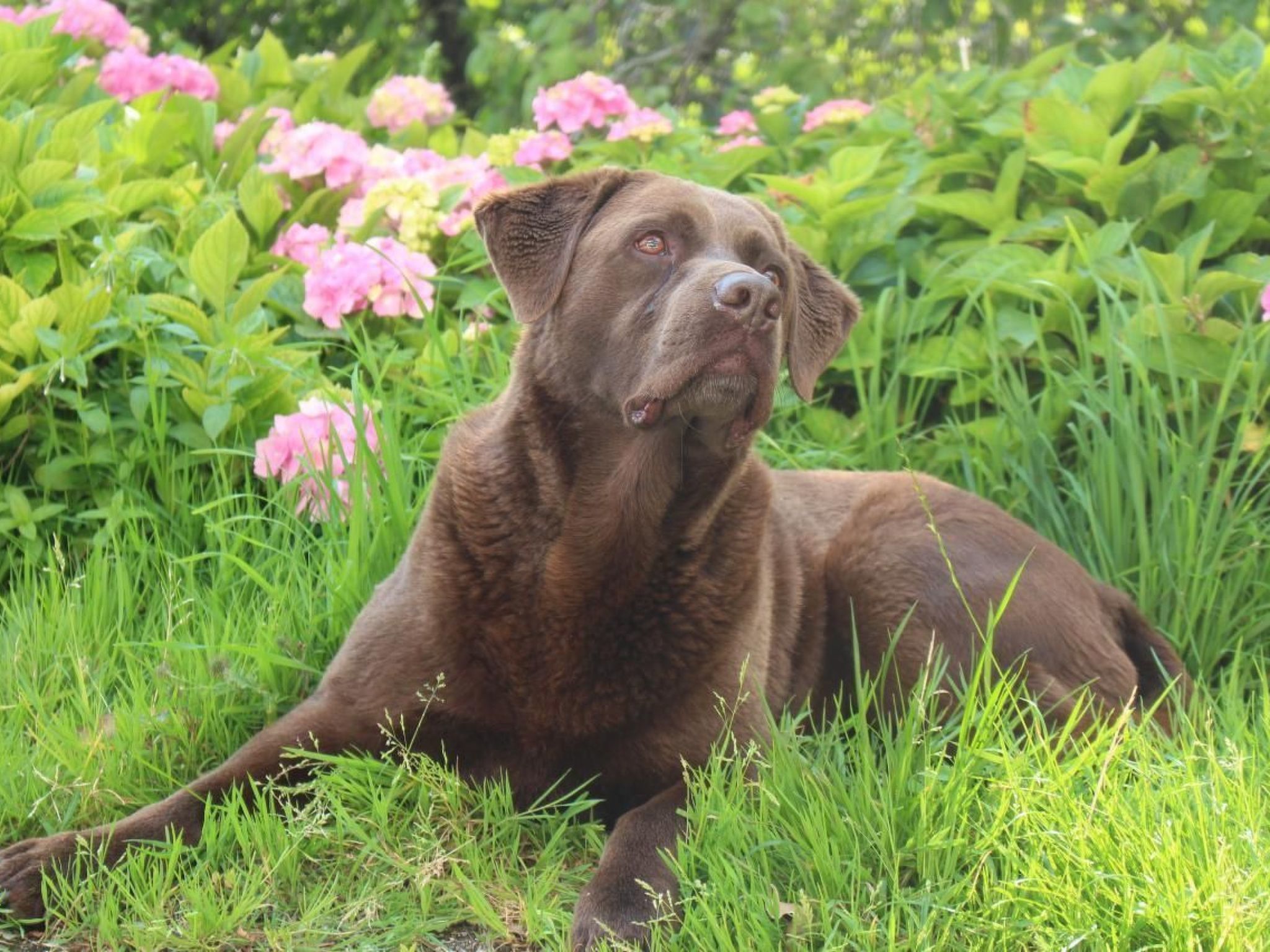 Mit Blick auf die Berge-Image-tags.info