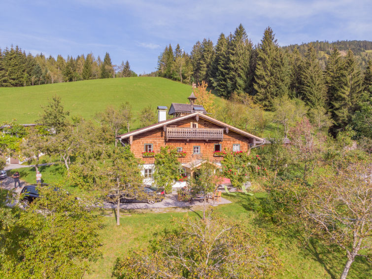 Bergzicht en rust op boerderij Oberhaslach in Abtenau in Abtenau
