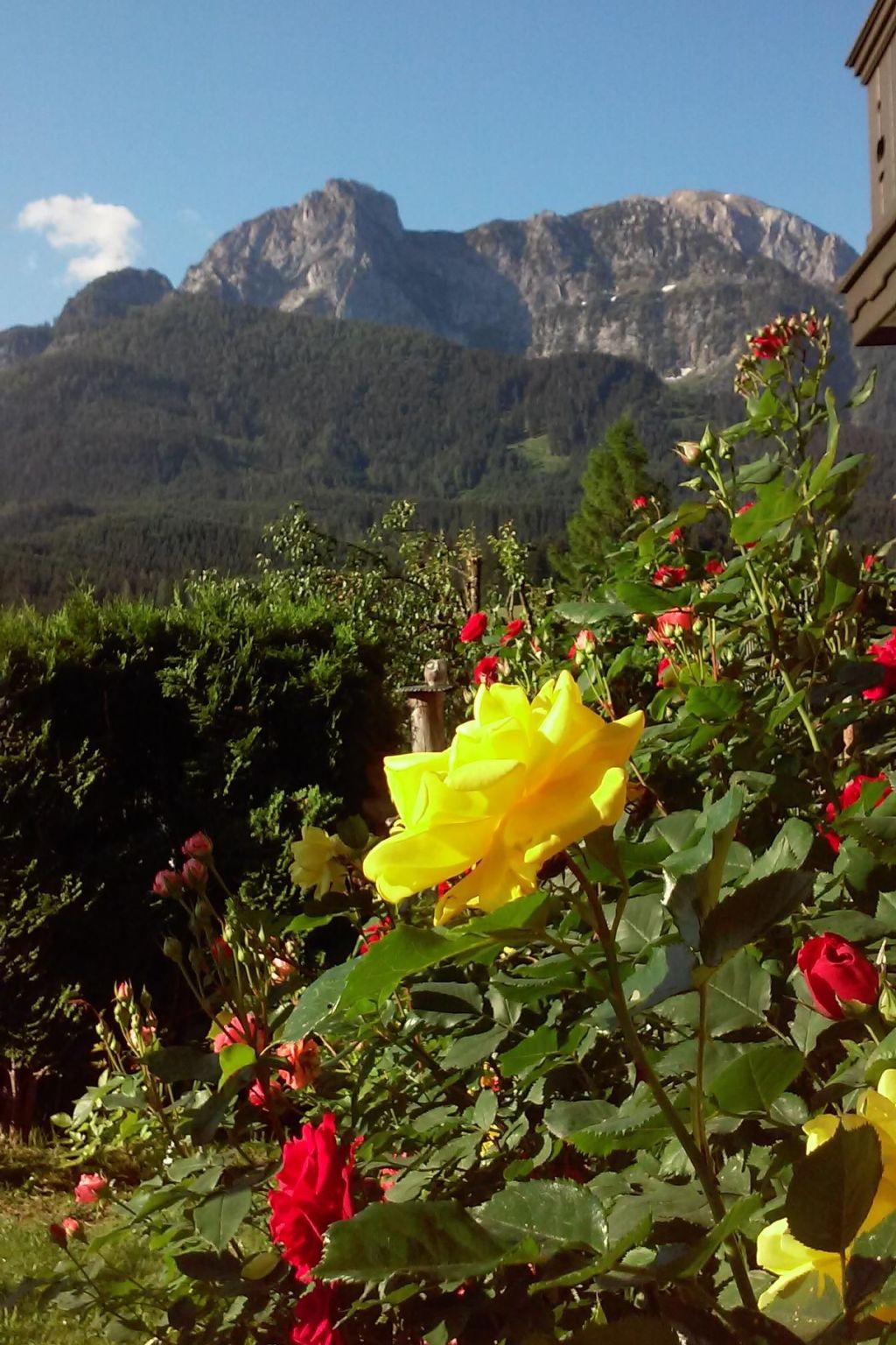 Herbst in Abtenau-Image-tags.info