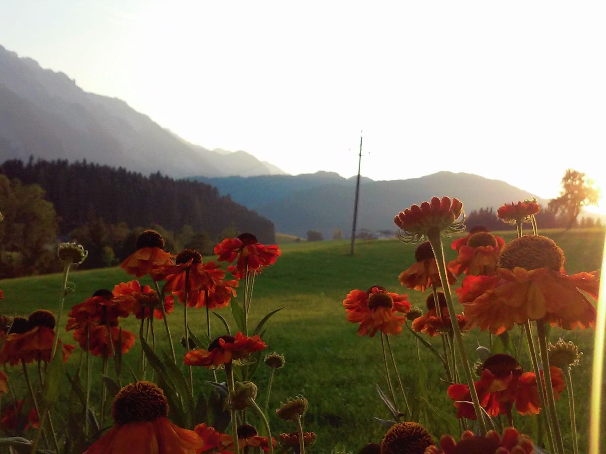 Herbst in Abtenau-Image-tags.info