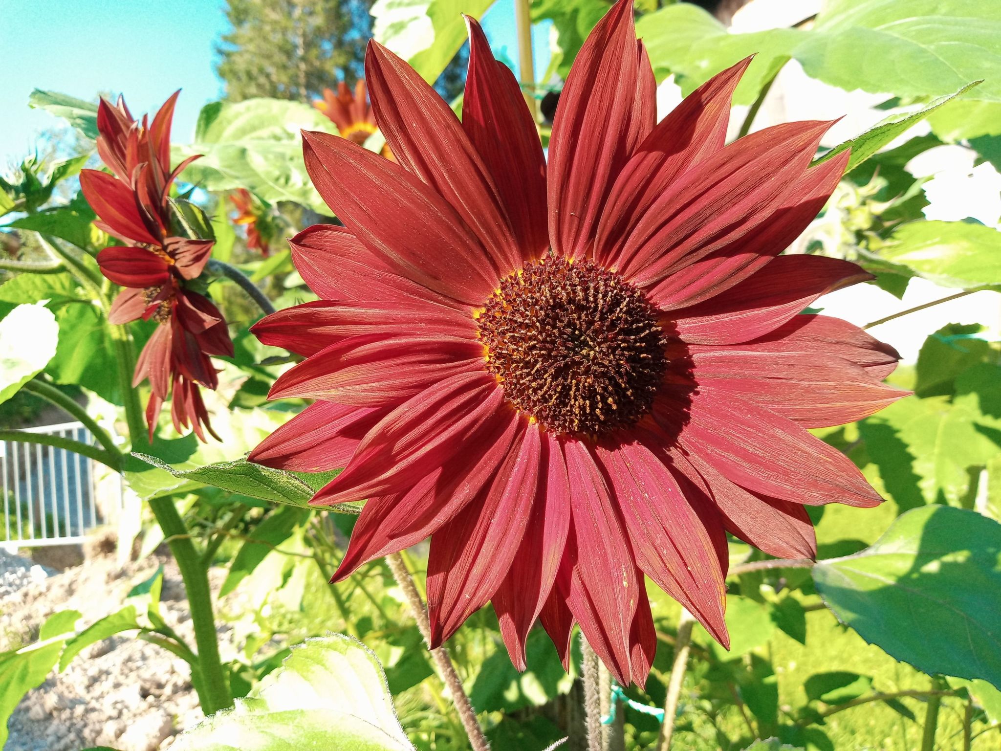 Herbst in Abtenau-Image-tags.info