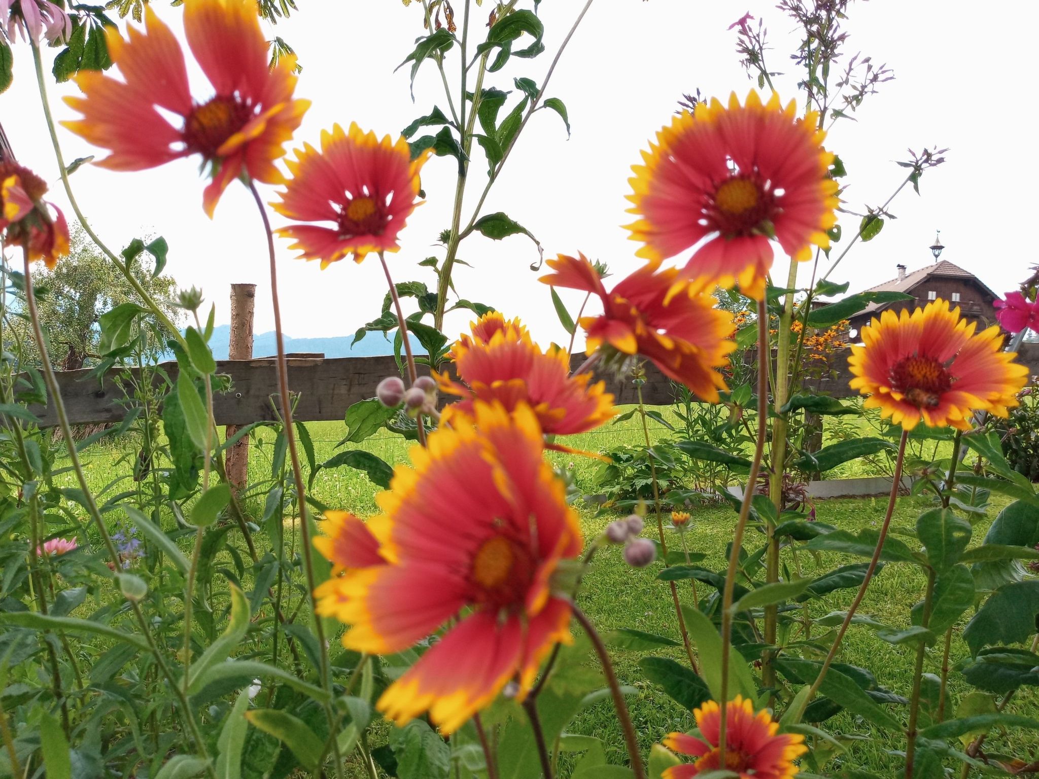 Herbst in Abtenau-Image-tags.info