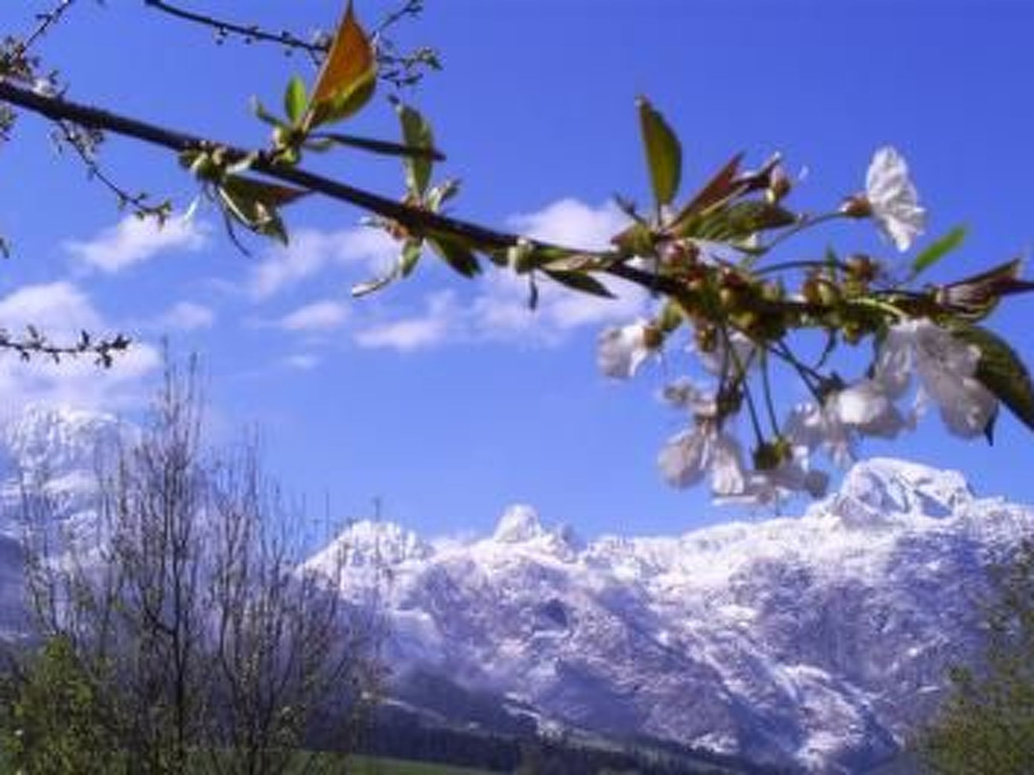 Herbst in Abtenau-Image-tags.info