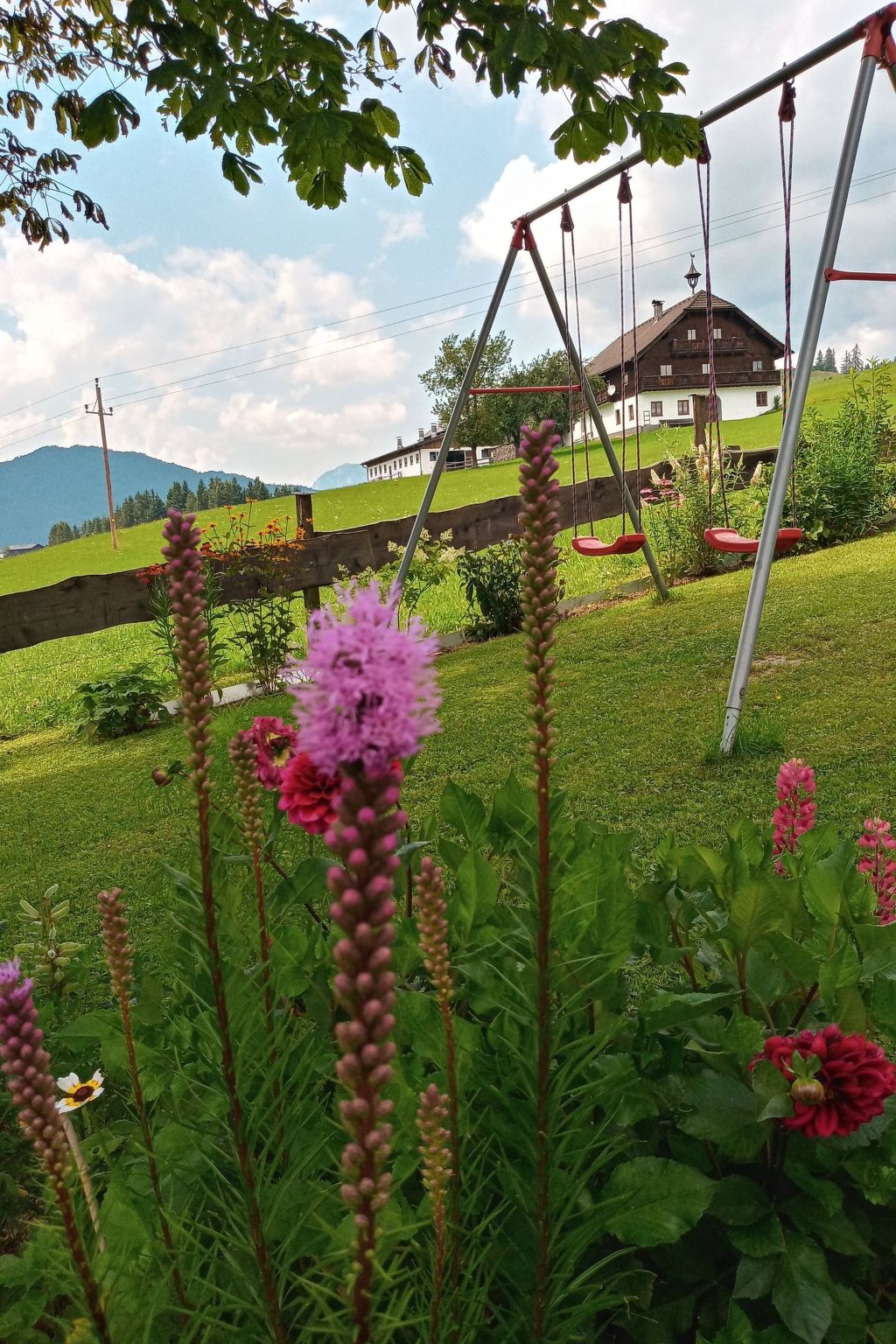 Gsenger in Abtenau-Image-tags.info