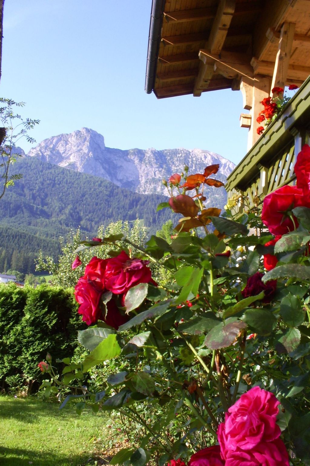 Gsenger in Abtenau-Image-tags.info