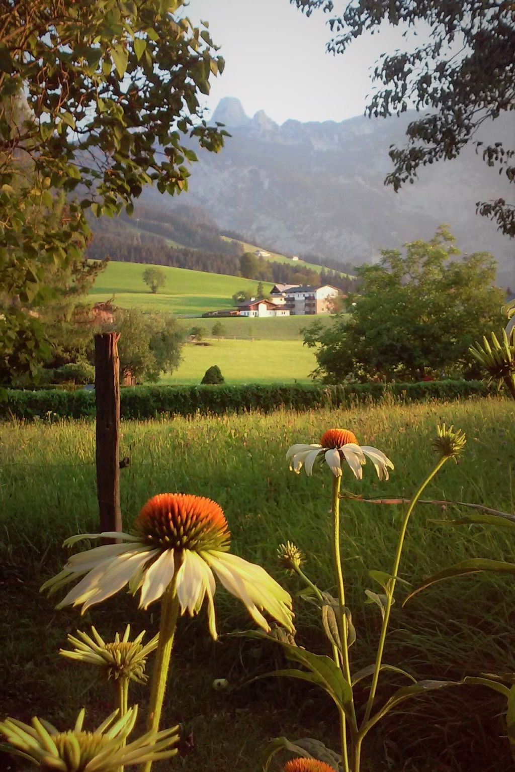 Gsenger Natur in Abtenau-Image-tags.info