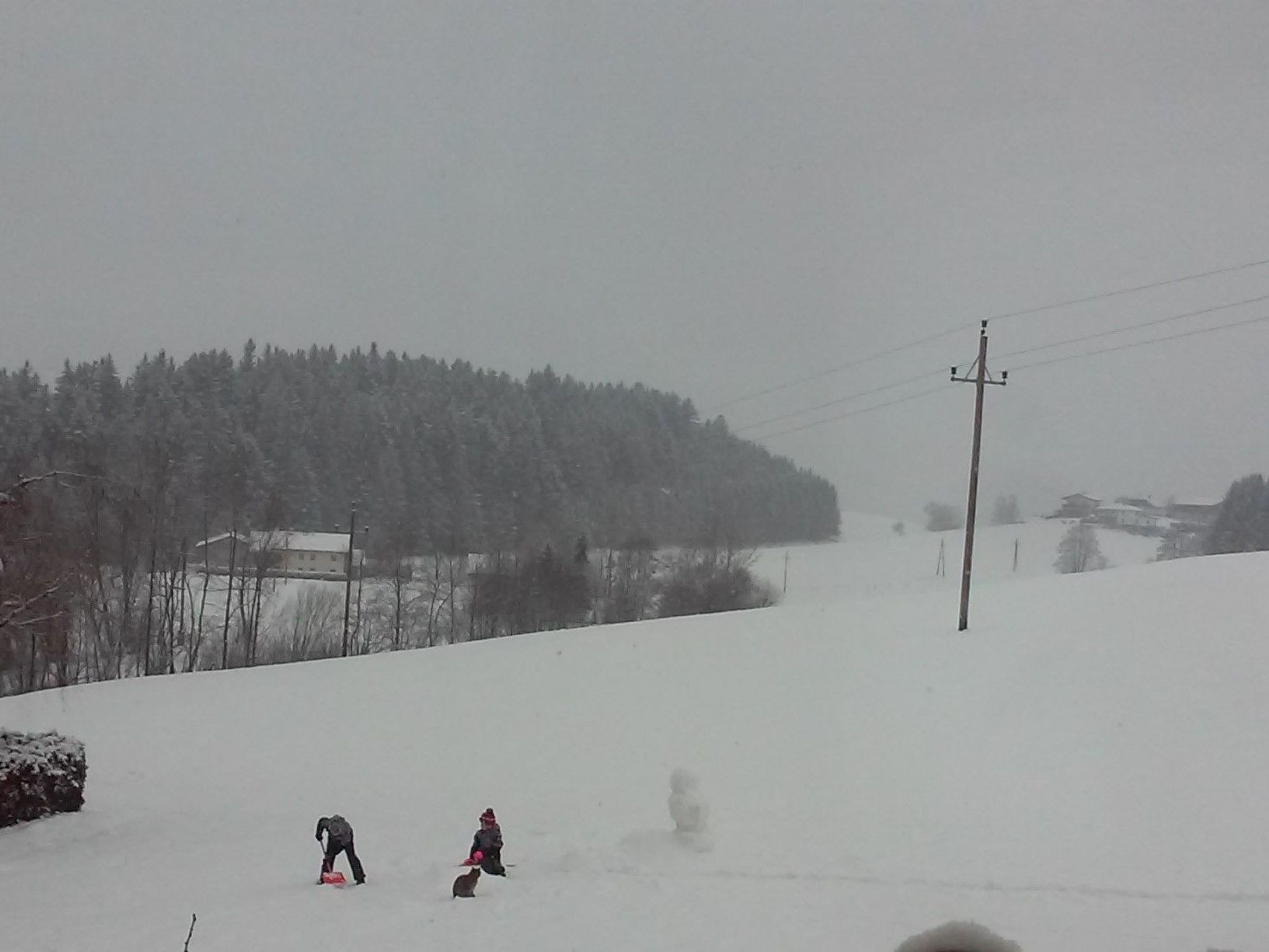 Gsenger Natur in Abtenau