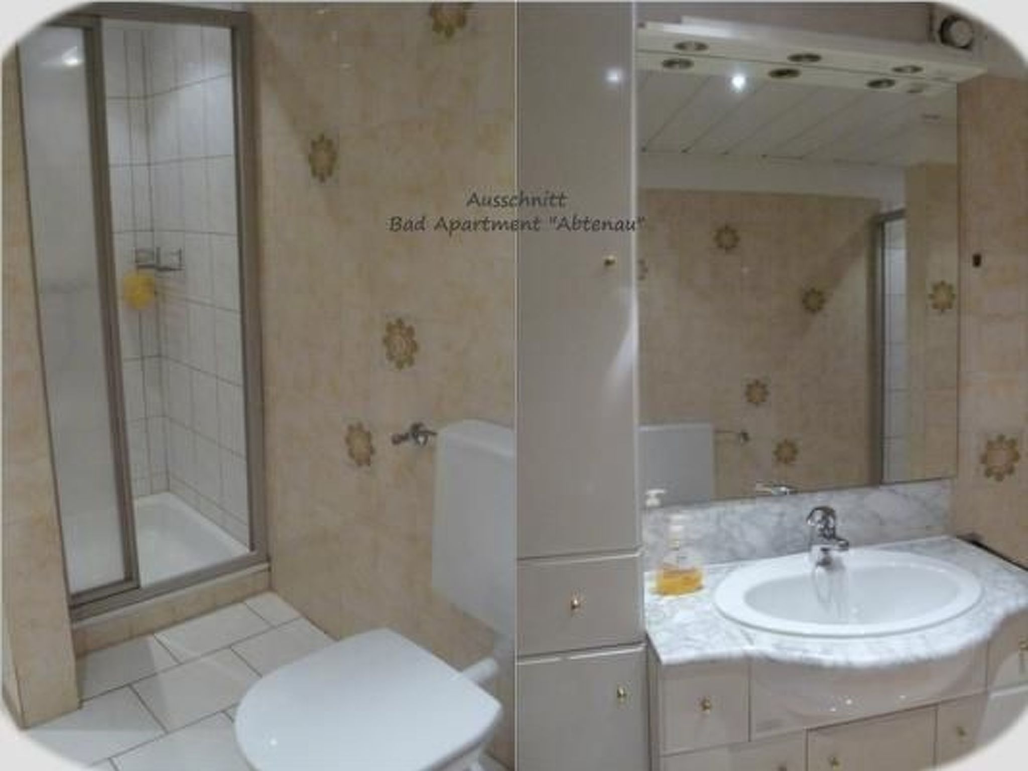 Apartment Abtenau - Haus Dreier  in Abtenau - Salzburger Land - Inside