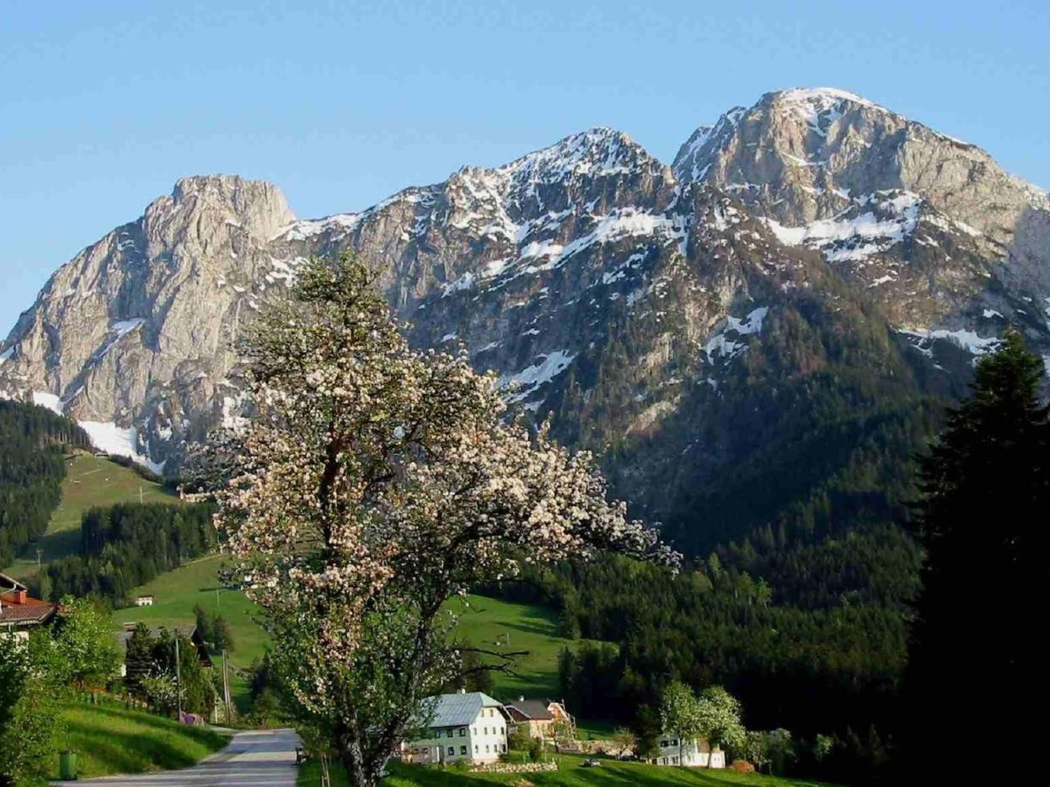 Apartment Abtenau - Haus Dreier  in Abtenau - Salzburger Land - Inside