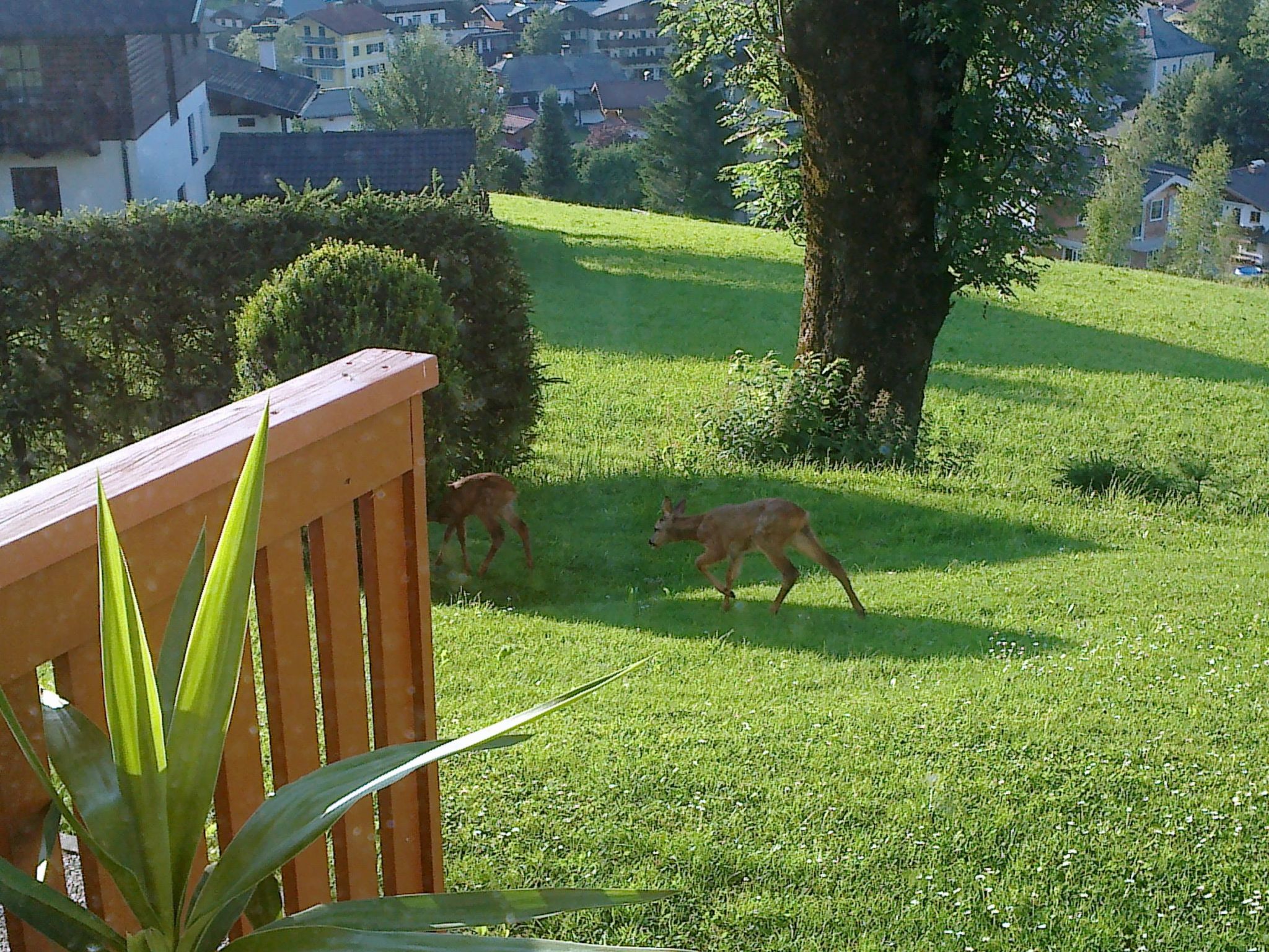 Apartment Bergblick-Image-tags.info