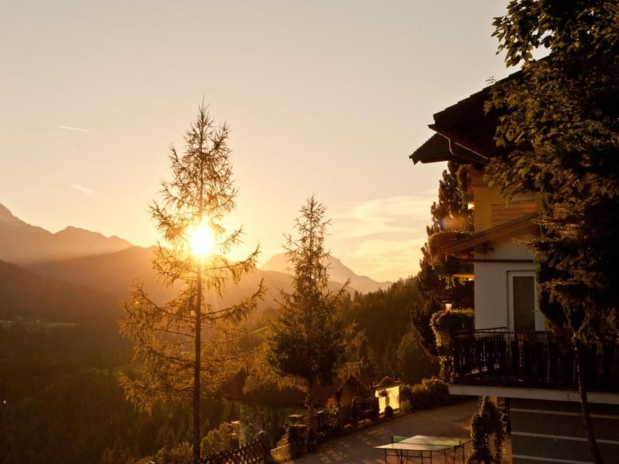 Bernstein-Image-tags.info