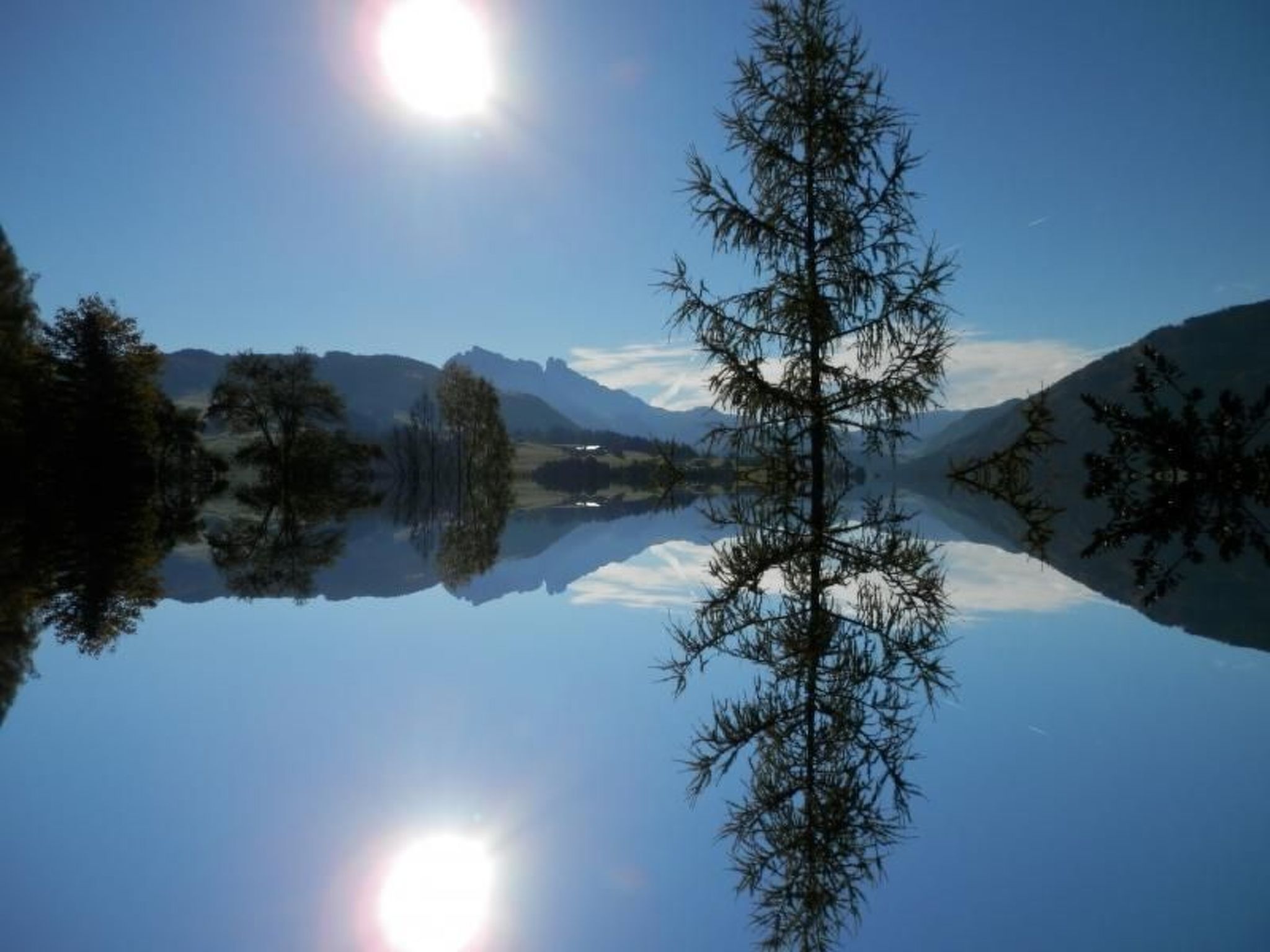 Bernstein-Image-tags.info