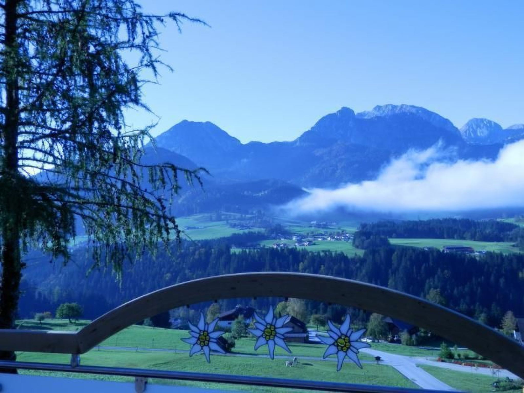 Luxusappartment-Buiten