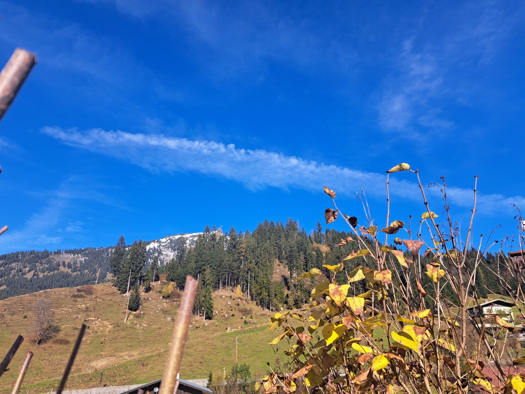 Appartement 2-Draußen