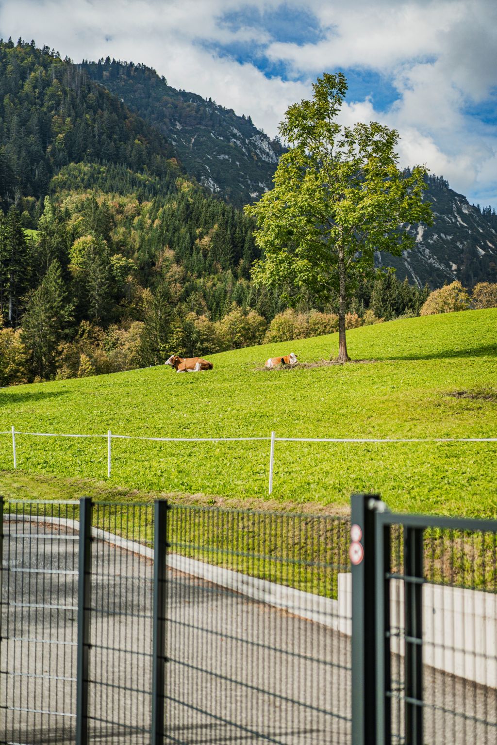 Dachstein West 3-Image-tags.info
