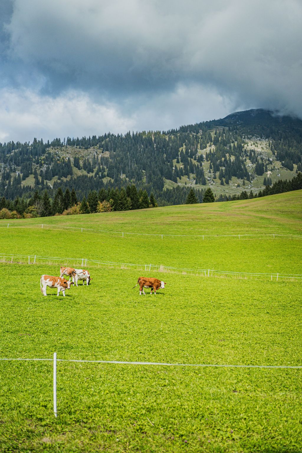 Dachstein West 3-Image-tags.info