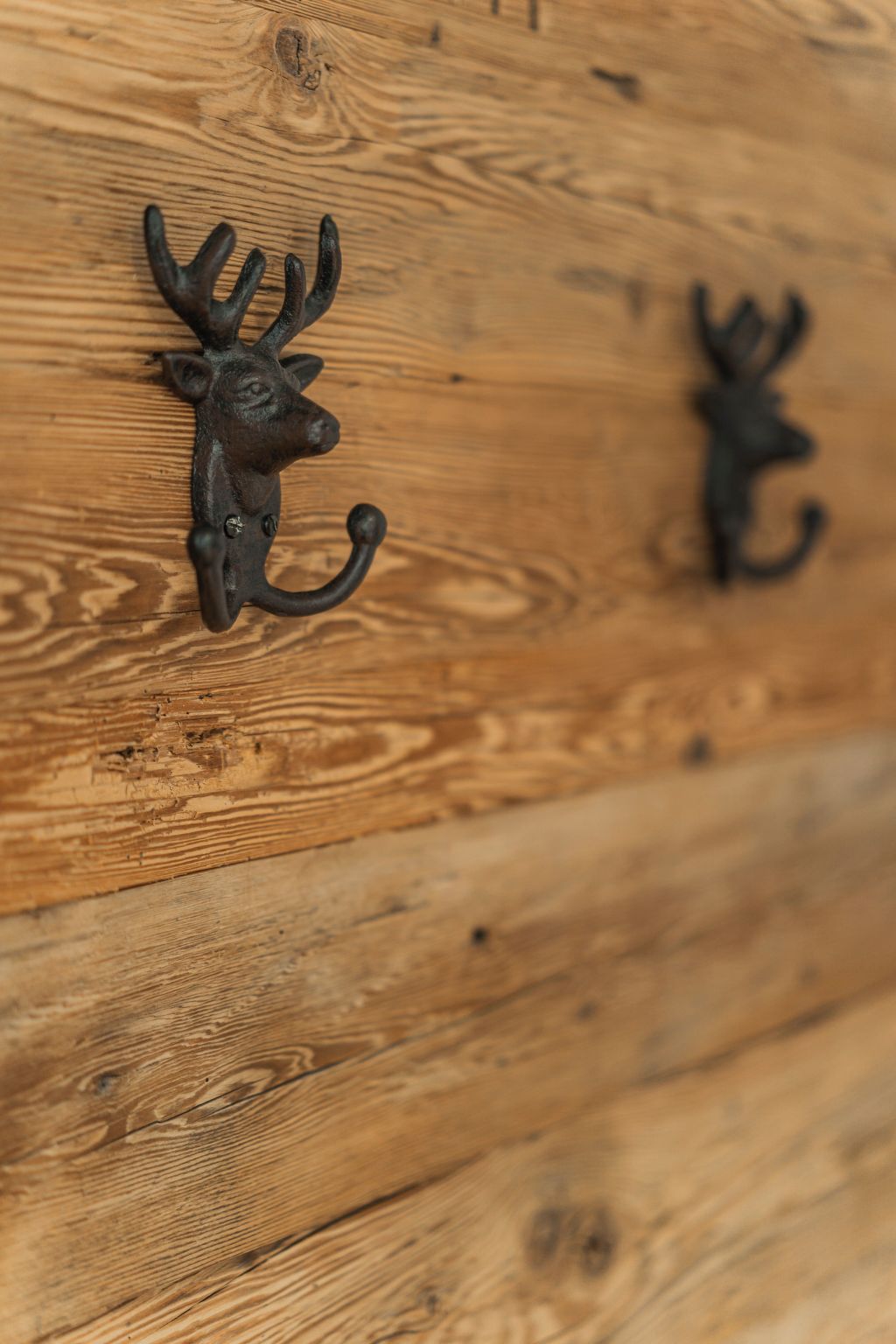 In Rußbach Am Pass Gschütt mit Garten, Terrasse und Grill-Image-tags.info