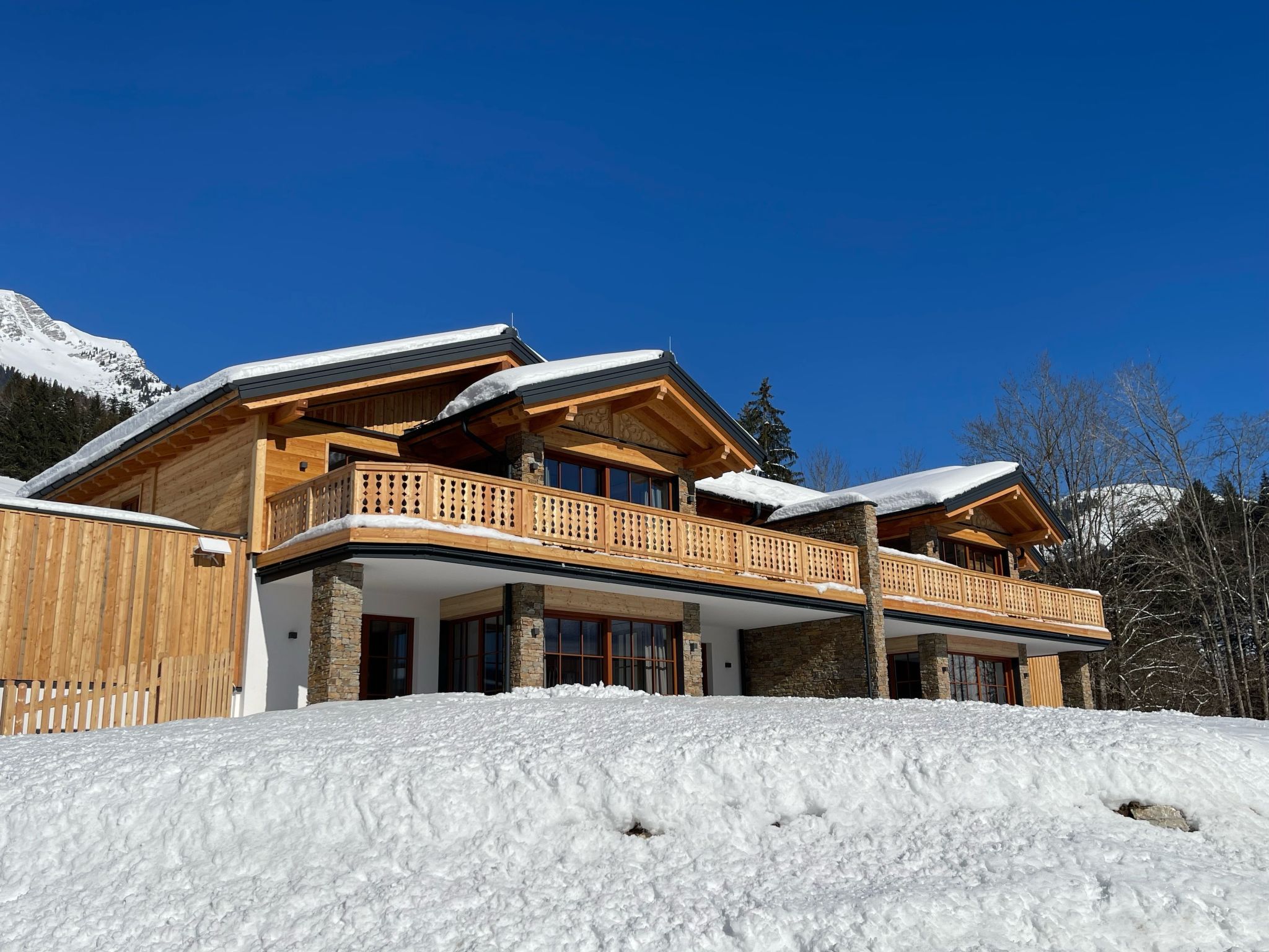 Dachstein Chalet Haus a