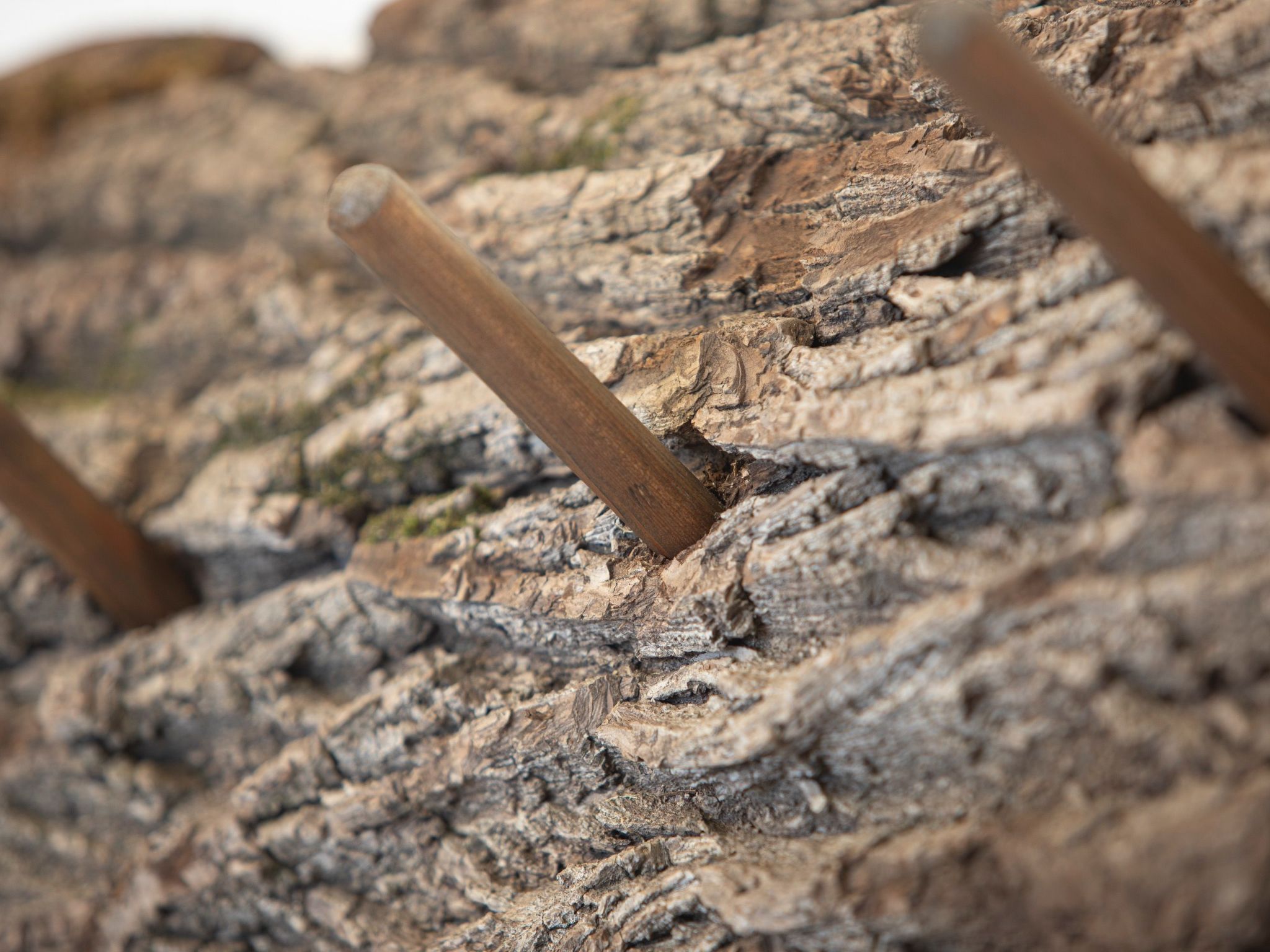 Dachstein Chalet Haus a-Image-tags.info