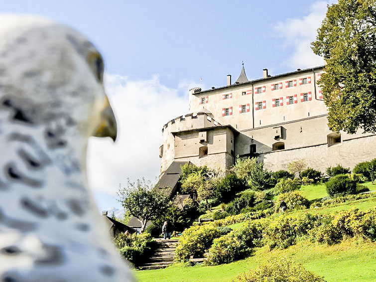 Photo of Edelweiss in Werfenweng - Austria