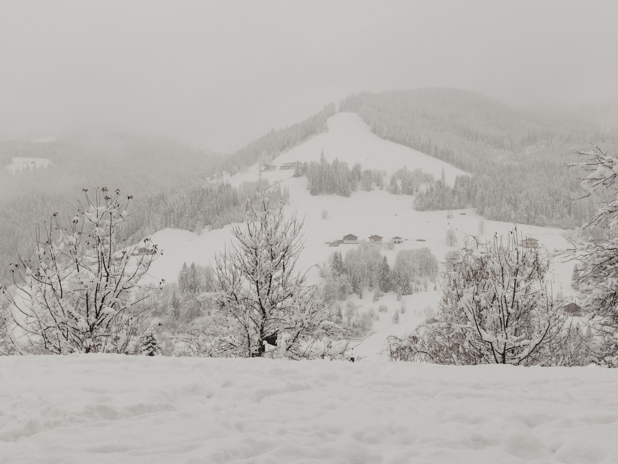 Photo of Royal Mountain Lodge