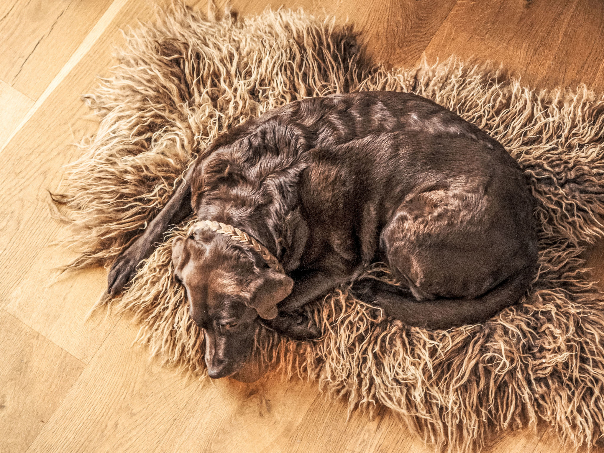 Photo of Royal Mountain Lodge