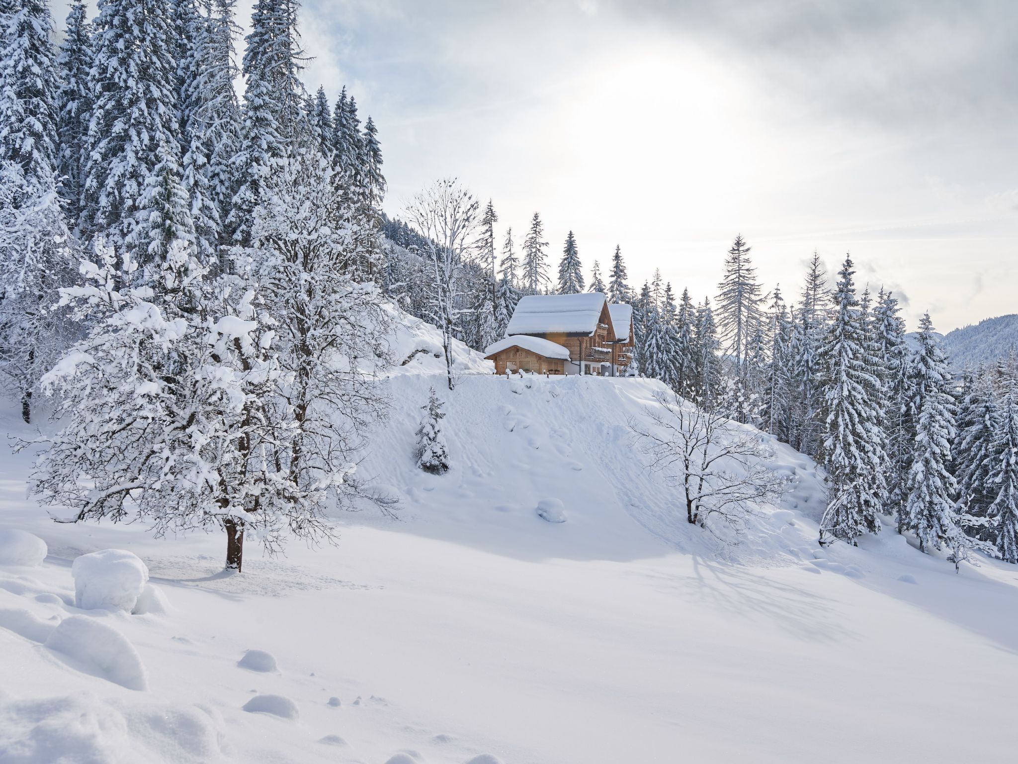 Haus Ostermoasspitz in St. Martin am Tennengebirge-Binnen