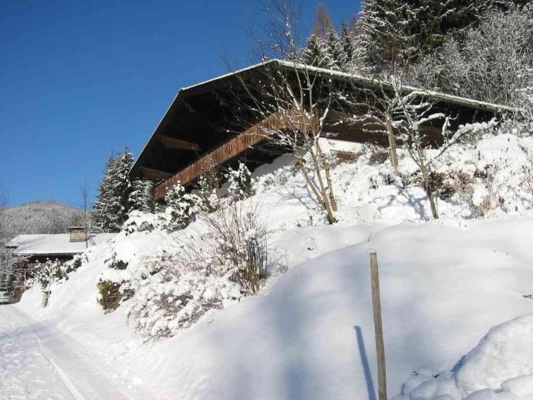 Appartement met open haard in Eben im Pongau voor 6 personen in Eben im Pongau