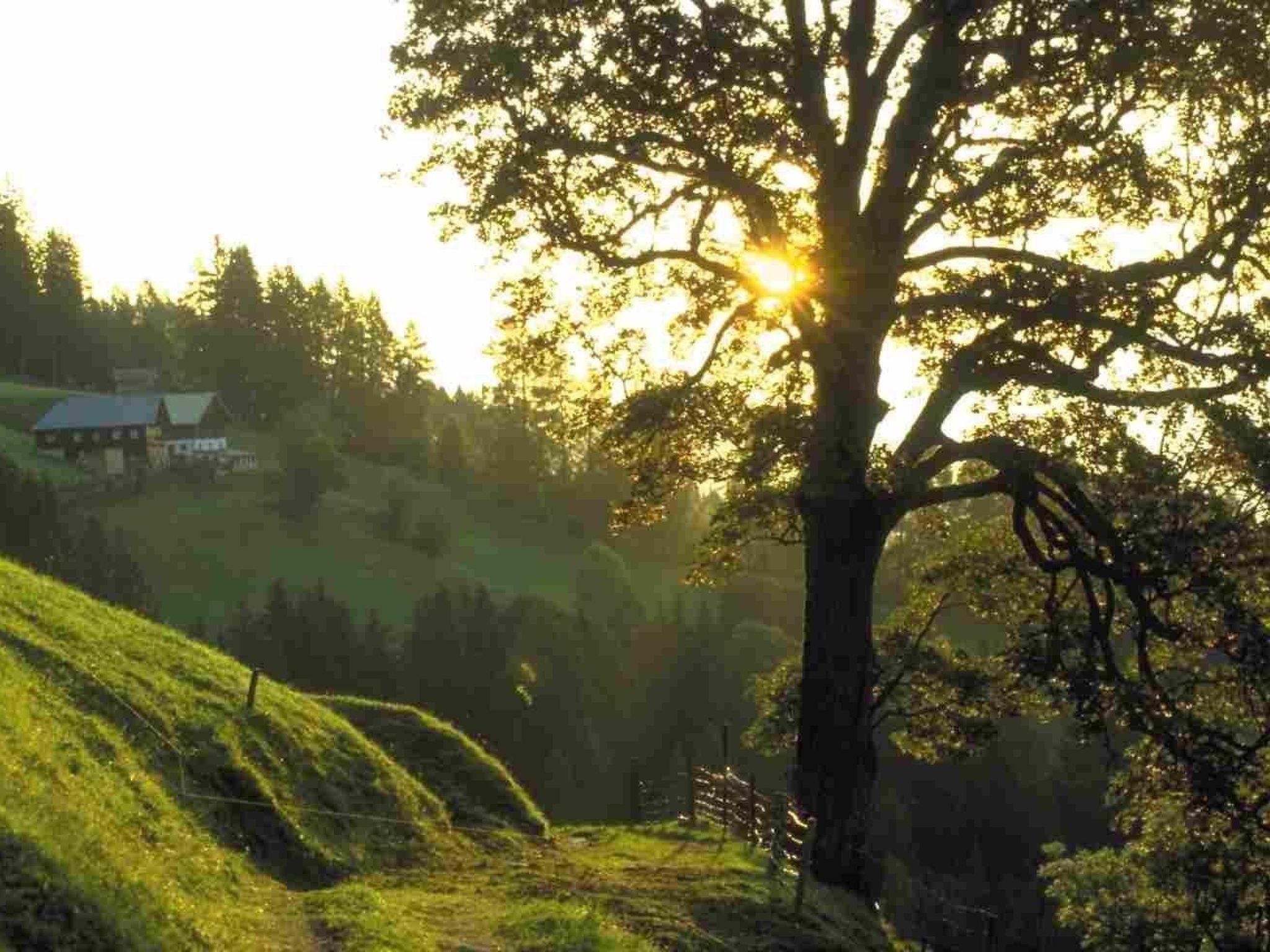 Hans Ebner in Eben im Pongau-Binnen